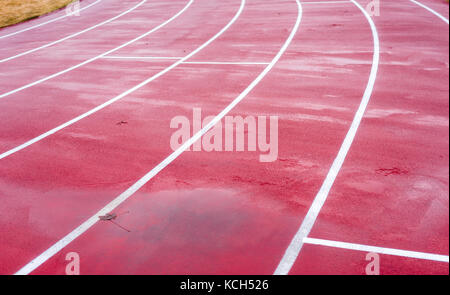 Linee bianche su un umido rosso acceso via. Foto Stock