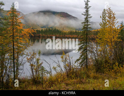 Paesaggio autunnale lungo la Highway 1, vicino al lago Mentasta, Alaska, Nord America. Foto Stock