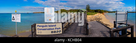 Passerella sull'Isola dei Pinguini, Parco Marino delle Isole Shoalwater, vicino a Rockingham, Australia Occidentale, Australia Foto Stock