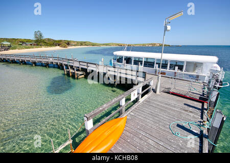 Molo e traghetto a Penguin Island, Shoalwater Islands Marine Park, vicino a Rockingham, Australia Occidentale, Australia Foto Stock