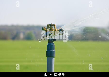 Irrigazione automatica di irrorazione del tubo di lancio Foto Stock