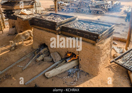 Cought di fresco pesce affumicato con argilla tradizionale forno a costa del Ghana, Africa occidentale Foto Stock