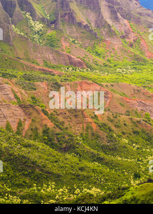 Vista sul Kalalau incredibile canyon, sulla costa di Na Pali di Kauai, Hawai'i, Stati Uniti d'America. Foto Stock