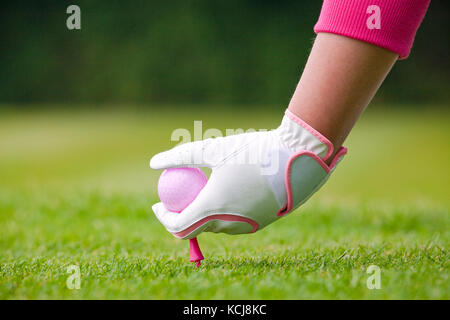 Signora golfista ponendo la sua palla rosa e il raccordo a T nel suolo su un campo da golf. Foto Stock