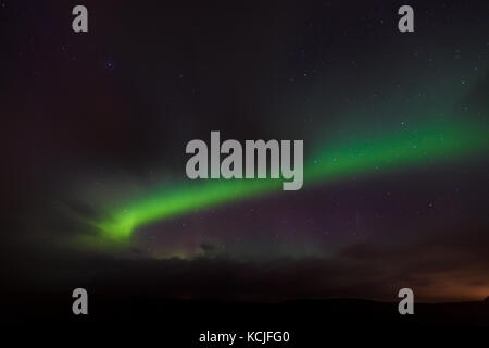 Aurora boreali Northern lights ballando con le stelle in Islanda Foto Stock