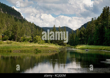 Una trota torrente e stagno in La Spearfish Canyon area delle Black Hills del Dakota del Sud, Stati Uniti d'America Foto Stock