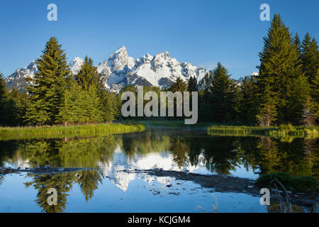 Grand Teton Mountains sorge dietro il laghetto e alberi in bella luce del mattino Foto Stock