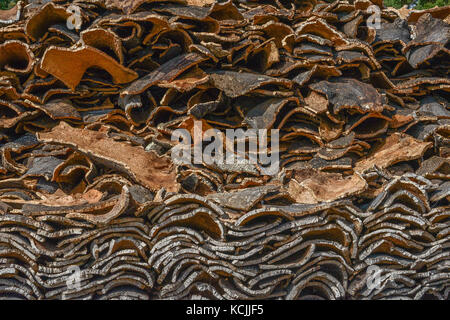 La produzione di sughero a Azaruja, Alentejo, Portogallo Foto Stock