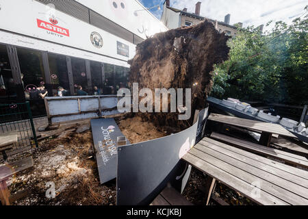 Amburgo, Germania. 5 ottobre 2017. Un albero caduto si trova nella birreria all'aperto di un ristorante in via Reeperbahn ad Amburgo, Germania, 5 ottobre 2017. Credito: Markus Scholz/dpa/Alamy Live News Foto Stock