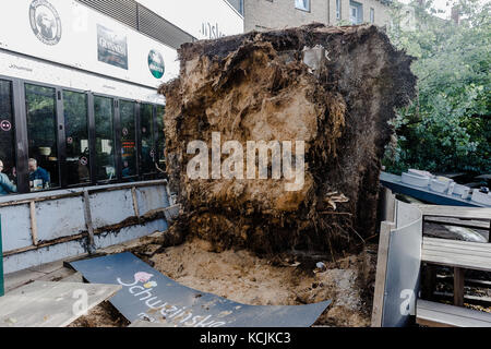 Amburgo, Germania. 5 ottobre 2017. Un albero caduto si trova nella birreria all'aperto di un ristorante in via Reeperbahn ad Amburgo, Germania, 5 ottobre 2017. Credito: Markus Scholz/dpa/Alamy Live News Foto Stock