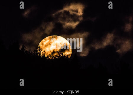 Aberystwyth Galles Regno Unito, giovedì 05 ottobre 2017 Regno Unito Meteo: Una gloriosa luna piena "Harvest Moon" che si innalza drammaticamente sulle colline alla periferia di Aberystwyth in una notte di nuvole rotte nel Galles occidentale. Il termine Harvest Moon si riferisce alla luna piena che cade più vicina all'equinozio autunnale, che ebbe luogo il 22 settembre. La maggior parte degli anni la Harvest Moon avviene a settembre, ma ogni tre anni circa si verifica a ottobre. Credito fotografico: Keith Morris/Alamy Live News Foto Stock