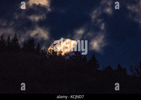 Aberystwyth Galles Regno Unito, giovedì 05 ottobre 2017 Regno Unito Meteo: Una gloriosa luna piena "Harvest Moon" che si innalza drammaticamente sulle colline alla periferia di Aberystwyth in una notte di nuvole rotte nel Galles occidentale. Il termine Harvest Moon si riferisce alla luna piena che cade più vicina all'equinozio autunnale, che ebbe luogo il 22 settembre. La maggior parte degli anni la Harvest Moon avviene a settembre, ma ogni tre anni circa si verifica a ottobre. Credito fotografico: Keith Morris/Alamy Live News Foto Stock