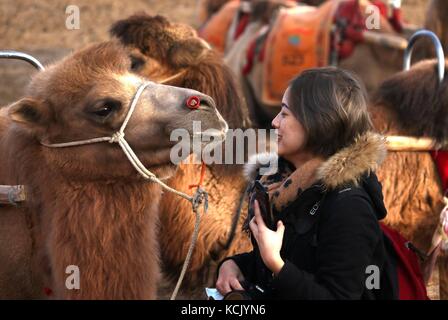 Jiuquan. 6 ottobre, 2017. Un turista pone per foto a yueyaquan (crescent molla) punto panoramico nella città di dunhuang, a nord-ovest della Cina di provincia di Gansu. oct. 6, 2017. Le persone a trovare modi diversi per trascorrere la loro giornata nazionale vacanze, dall'OCT. 1 ott. 8 quest'anno. Credito: Zhang xiaoliang/xinhua/alamy live news Foto Stock