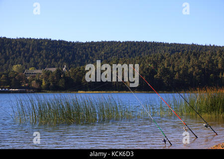 Lago Abant in Bolu, Turchia Foto Stock