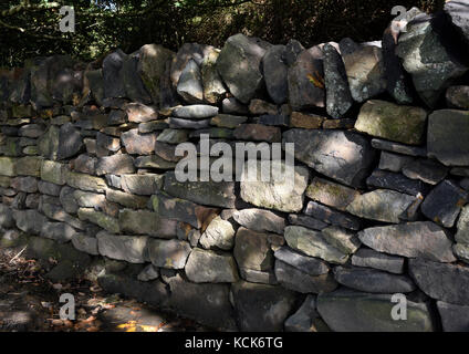 Asciugare la parete in pietra con luce solare pezzata di sbavature country park bury LANCASHIRE REGNO UNITO Foto Stock