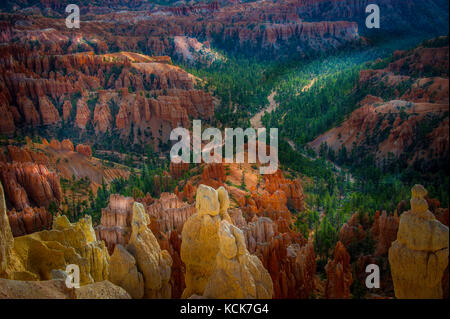 Hoodoos nel parco nazionale di Bryce Canyon, Utah, Stati Uniti d'America Foto Stock