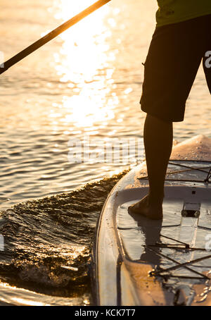 Un tramonto fa da sfondo a un boarder Stand Up paddle, che si addica nella baia di Comox. Comox, Vancouver Island, British Columbia, Canada. Foto Stock