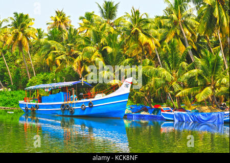 Ormeggiate barche da pesca nelle lagune tra quilon e cochin, Kerala, India Foto Stock