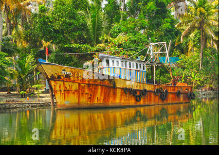 Ormeggiate barche da pesca nelle lagune tra quilon e cochin, Kerala, India Foto Stock