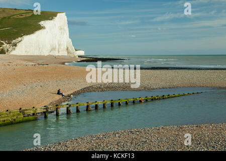 Cuckmere haven sulla costa di East Sussex, Inghilterra. Sette sorelle scogliere in background. Foto Stock