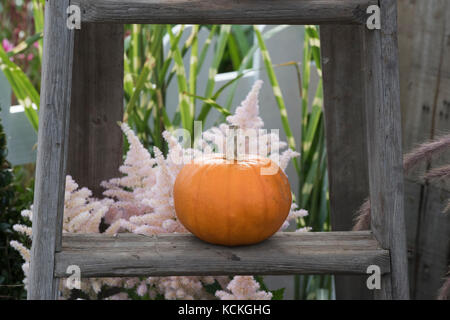 Le zucche su una scaletta a Malvern Autunno Mostra, Worcestershire, Regno Unito Foto Stock