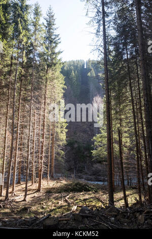 Gruppo di amanti della montagna escursione il più alto picco di neamtului mountain range in Romania, il vertice neamutlui 1923m Foto Stock