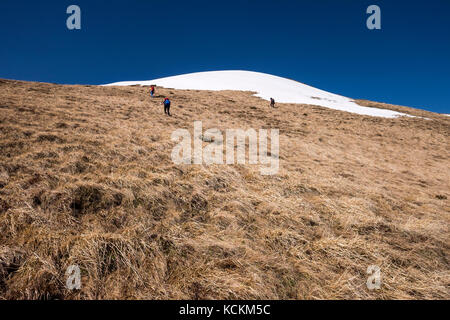 Gruppo di amanti della montagna escursione il più alto picco di neamtului mountain range in Romania, il vertice neamutlui 1923m Foto Stock