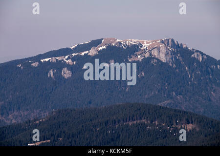 Gruppo di amanti della montagna escursione il più alto picco di neamtului mountain range in Romania, il vertice neamutlui 1923m Foto Stock