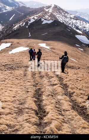 Gruppo di amanti della montagna escursione il più alto picco di neamtului mountain range in Romania, il vertice neamutlui 1923m Foto Stock