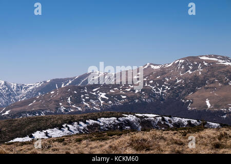 Gruppo di amanti della montagna escursione il più alto picco di neamtului mountain range in Romania, il vertice neamutlui 1923m Foto Stock