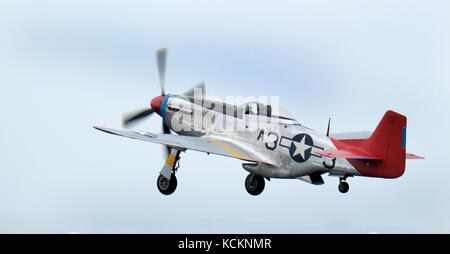 Nord America P-51 D Mustang. Aerei Tuskegee. Il primo squadrone africano americano. Foto Stock