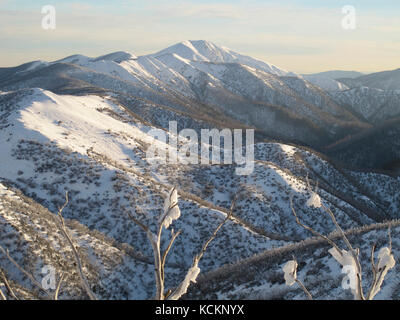 Monte feathertop, 1922 m, seconda montagna più alta dello Stato. Alpine National Park, Victoria, Australia Foto Stock