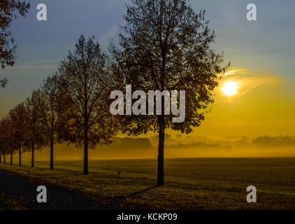 Arte epic golden scenic autunno glorioso tramonto su un paesaggio rurale con alberi e campi e un vicolo con una pista ciclabile e lascia su di esso Foto Stock