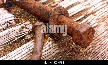 Bullone arrugginito con la rondella su un legno di Cariati Foto Stock