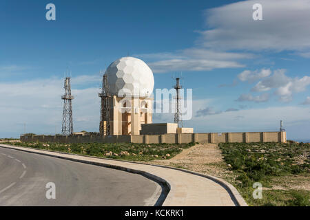 Le calendule maltese o giallo fiori selvatici che crescono su di un muro di pietra in Malta rurale contro un cielo blu in estate Foto Stock