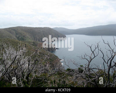 Fortescue Bay, sulla pista dei tre Capi, Tasmania Peninsula, Australia Foto Stock