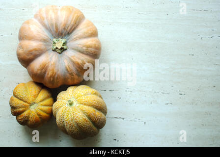 Halloween punpkin e meloni sfondo con vuoto spazio copia. messa a fuoco selettiva e bokeh di fondo. Foto Stock