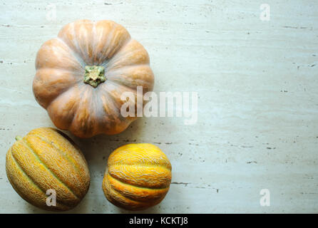 Halloween punpkin e meloni sfondo con vuoto spazio copia. messa a fuoco selettiva e bokeh di fondo. Foto Stock