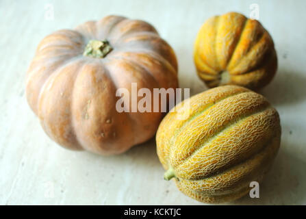 Halloween punpkin e meloni sfondo con vuoto spazio copia. messa a fuoco selettiva e bokeh di fondo. Foto Stock