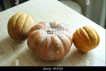 Halloween punpkin e meloni sfondo con vuoto spazio copia. messa a fuoco selettiva e bokeh di fondo. Foto Stock