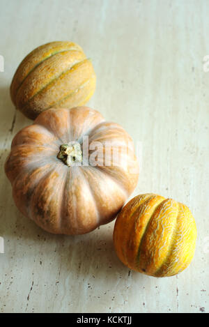 Halloween punpkin e meloni sfondo con vuoto spazio copia. messa a fuoco selettiva e bokeh di fondo. Foto Stock