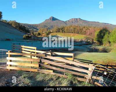 Vista sui terreni agricoli verso il Mamma Cummings Peak, una formazione prominente nella catena dei Western Tiers, con i cortili in primo piano. Tasmani Settentrionale Foto Stock