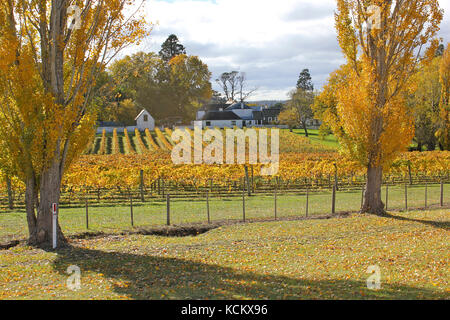 Entally Casa e vigneto circostante. La casa fu costruita nel 1819 da Thomas Reibey, figlio di Mary Reibey. Ora è gestito da Tasmanian Parks e Wil Foto Stock