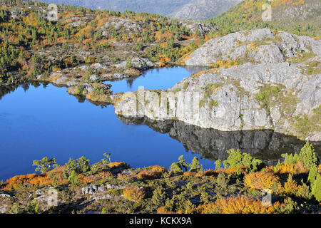 Laghi intrecciati in autunno con faggi decidui (Fuscospora gunnii) di colore autunnale. La roccia è glaciata quarzite. Cradle Mountain-Lake St Clair Na Foto Stock