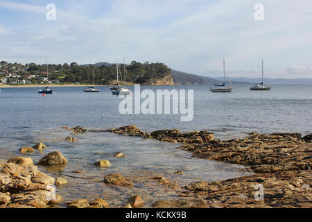 Blackmans Bay sull'estuario del fiume Derwent. A sud di Hobart, Tasmania, Australia Foto Stock