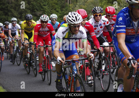 Tour della corsa ciclistica della Tasmania, concorrenti che si arrampicano attraverso la foresta pluviale a sud di Burnie, Tasmania nord-occidentale, Australia Foto Stock