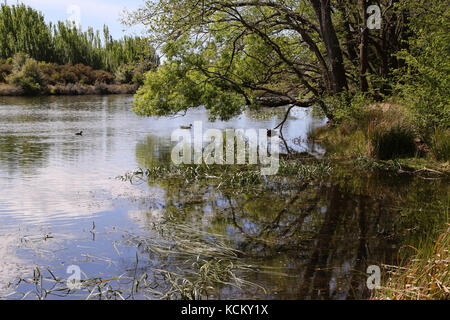 Il fiume Macquarie che scorre attraverso Ross, Midlands, Tasmania, Australia Foto Stock