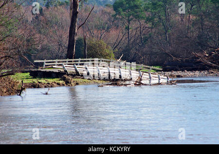 Ponte di legno danneggiato da alluvione grave. La sua sezione lontana è stata portata sulla riva del fiume da detriti alluvionali. Merseylea, Tasmania nordoccidentale, Australia Foto Stock