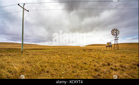 Texas ruota in outback a tumut Nuovo Galles del Sud Australia Foto Stock