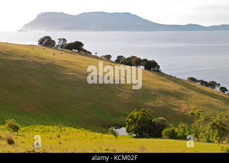 Vista sull'isola di Maria a circa 10 km di distanza attraverso il passaggio Mercury dal promontorio settentrionale della Baia di Okehampton, vicino a Triabunna, costa orientale Tasmania, austra Foto Stock